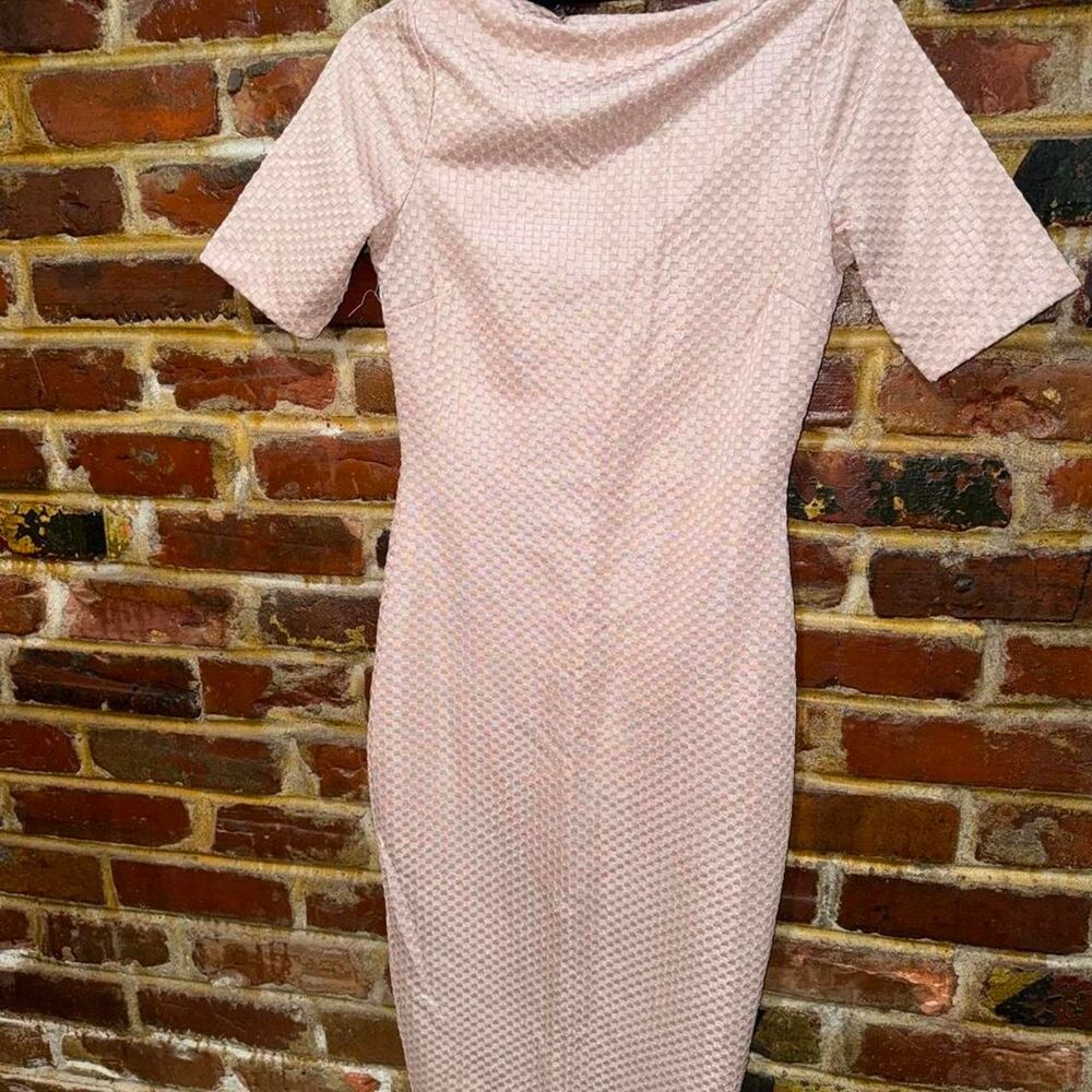 ZARA Women's Pink Dress, size Medium